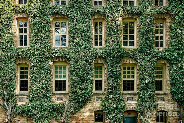 sat-subject-test-scores-for-the-ivy-league