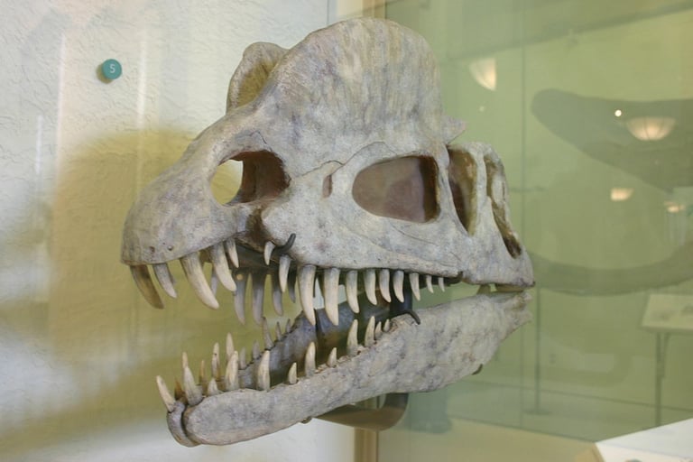 The Truth About the Dilophosaurus: 5 Facts About the Spitting Dinosaur