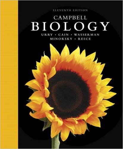 The Best AP Biology Books 2021: Full Expert Reviews