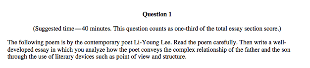 Expert's Guide to the AP Literature Exam