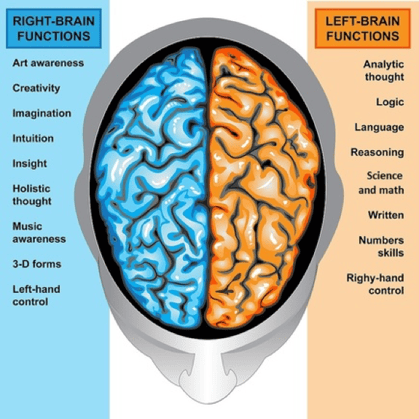 Left Brain RIght Brain Functions