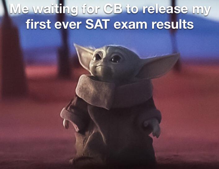 The 30 Best SAT Memes to Get You Through Test Prep