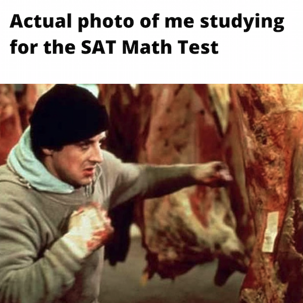 The 30 Best SAT Memes to Get You Through Test Prep