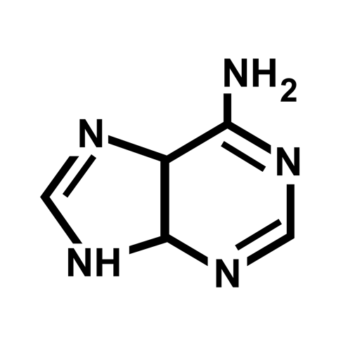adenine-1769831_1920