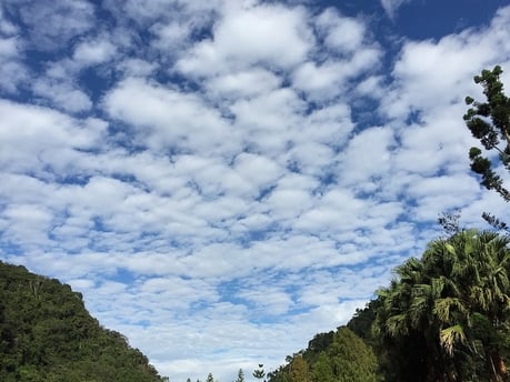 altocumulus