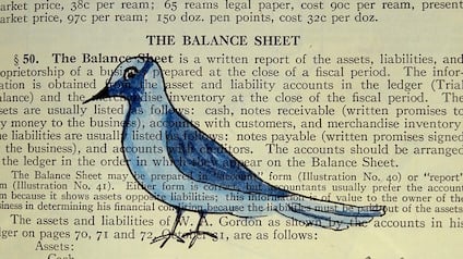 bird-625374_640.jpg bird-625374_640.jpg