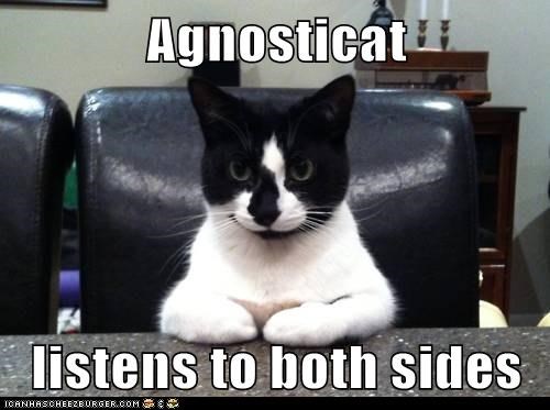 body-agnostic-cat