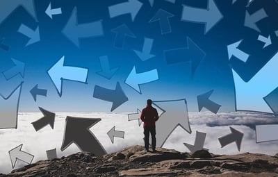 family diversity college essay body-arrows-next-whats-next-steps