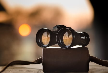 in writing an argumentative essay you have to use only body-binoculars