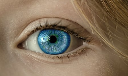 write down hypothesis body-blue-eye