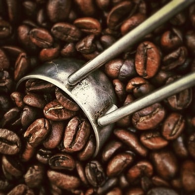 assignment under word count body-coffee-cc0
