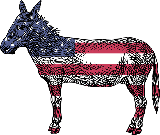 body-democrat-donkey-cc0