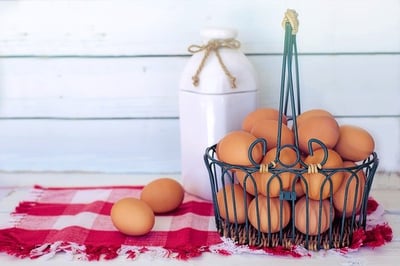 body-eggs-basket-cc0