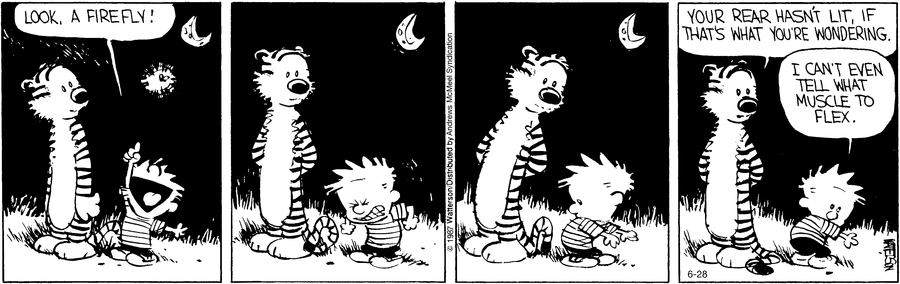 body-fireflies-calvin-hobbes