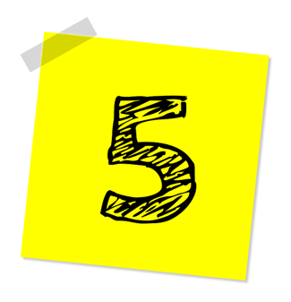 university of south carolina honors college supplemental essay body-five-post-it-note