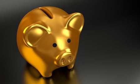 ela homework scanner body-gold-piggy-bank-money