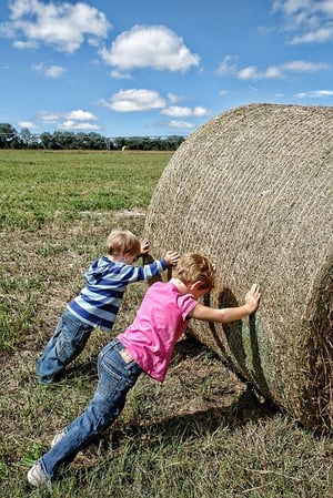 body-hay-bale-teamwork-cc0-pixabay