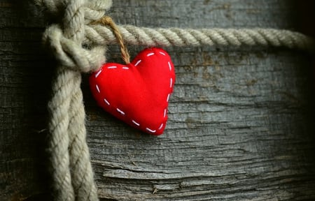 body-heart-tree-wood-rope-red