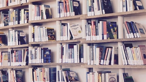 body-library-books-shelf