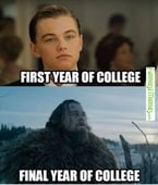 body-meme-aging-college-student-dicaprio