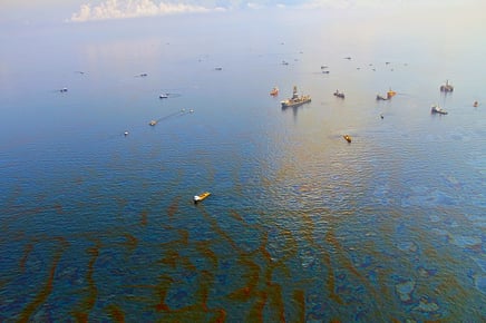 essay for application to university body-oil-spill