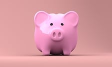 body-piggy-bank-money-cc0-pixabay