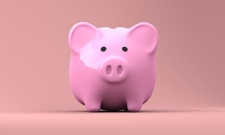 body-piggy-bank-money-cc0-pixabay