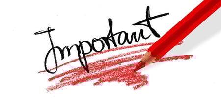 words to use instead of us in an essay body-red-pencil-important