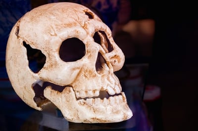 body-skeleton-skull-cc0-pixabay