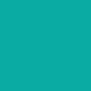 body-turquoise-green