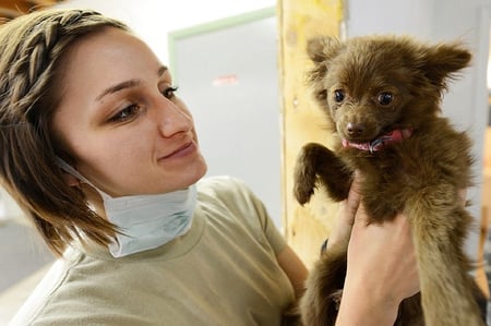 body-vet-with-puppy