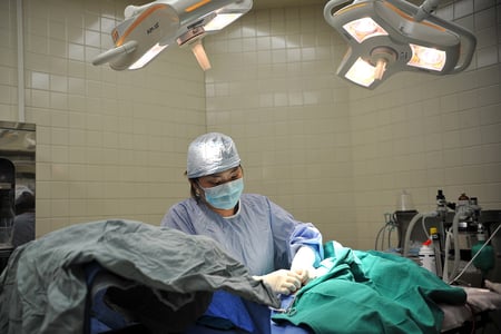 body-veterinarian-performing-surgery