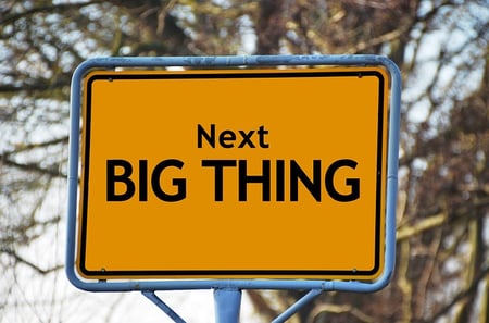 university of south carolina honors college supplemental essay body-whats-next-big-thing-sign
