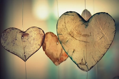 body-wooden-hearts