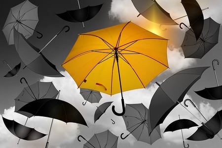 in writing an argumentative essay you have to use only body-yellow-umbrella-3
