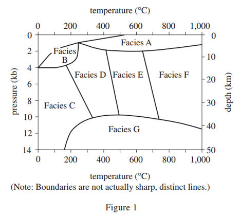 body_36science_weird1.jpg