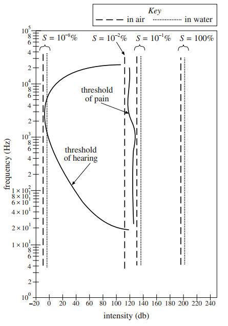 body_36science_weird3a1.jpg