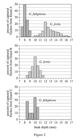 body_ActScienceFinchPassageCharts-1.png