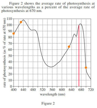 body_act24science_photo2_q1b.jpg