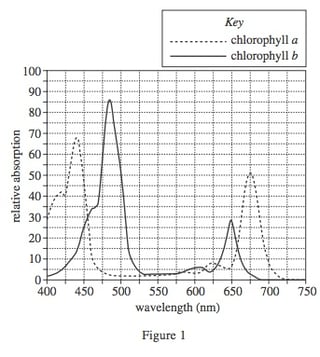 body_actsciencewavelengthgraph.jpg body_actsciencewavelengthgraph.jpg