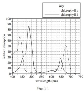 body_actsciencewavelengthgraph.jpg