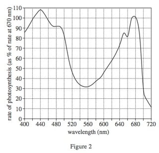 body_actsciencewavelengthgraphb.jpg body_actsciencewavelengthgraphb.jpg