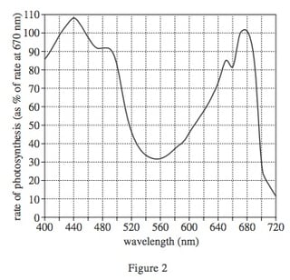 body_actsciencewavelengthgraphb.jpg