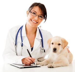 body_animaldoctor