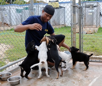 body_animalshelter