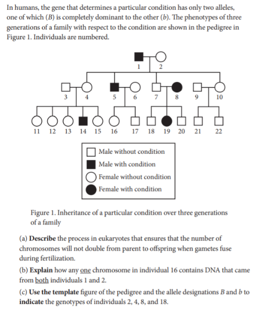 body_apbio_short_answer_sample_1