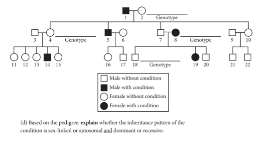 body_apbio_short_answer_sample_2