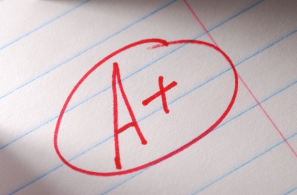 statement vs essay statement vs essay