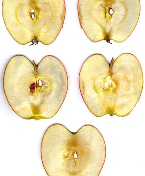 body_apple_slices_cc0