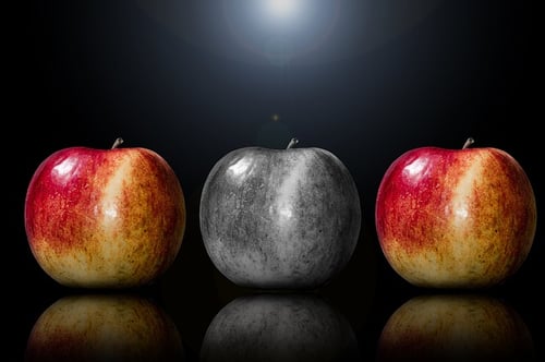 boston college essay question body_apples_unique